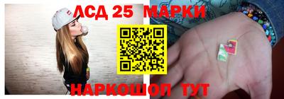 прущие грибы Новодвинск