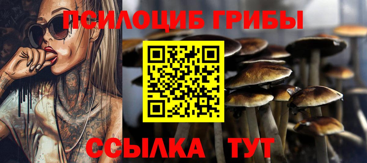 Скопин  Псилоцибиновые грибы Psilocybine cubensis  Вход с VPN  Галлюциногенные грибы мицелий 